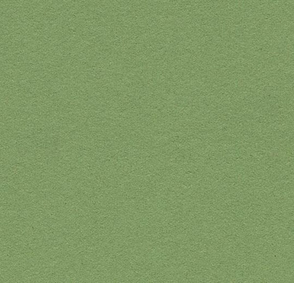 Baby Lettuce 2213 Insert